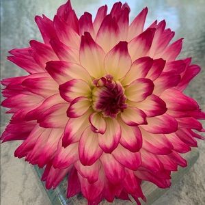 Meet your Posher, Bet